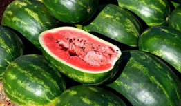 凉山吃瓜爆料视频大全下载,揭秘幕后真相，带你领略网络风云